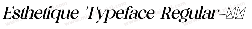 Esthetique Typeface Regular字体转换